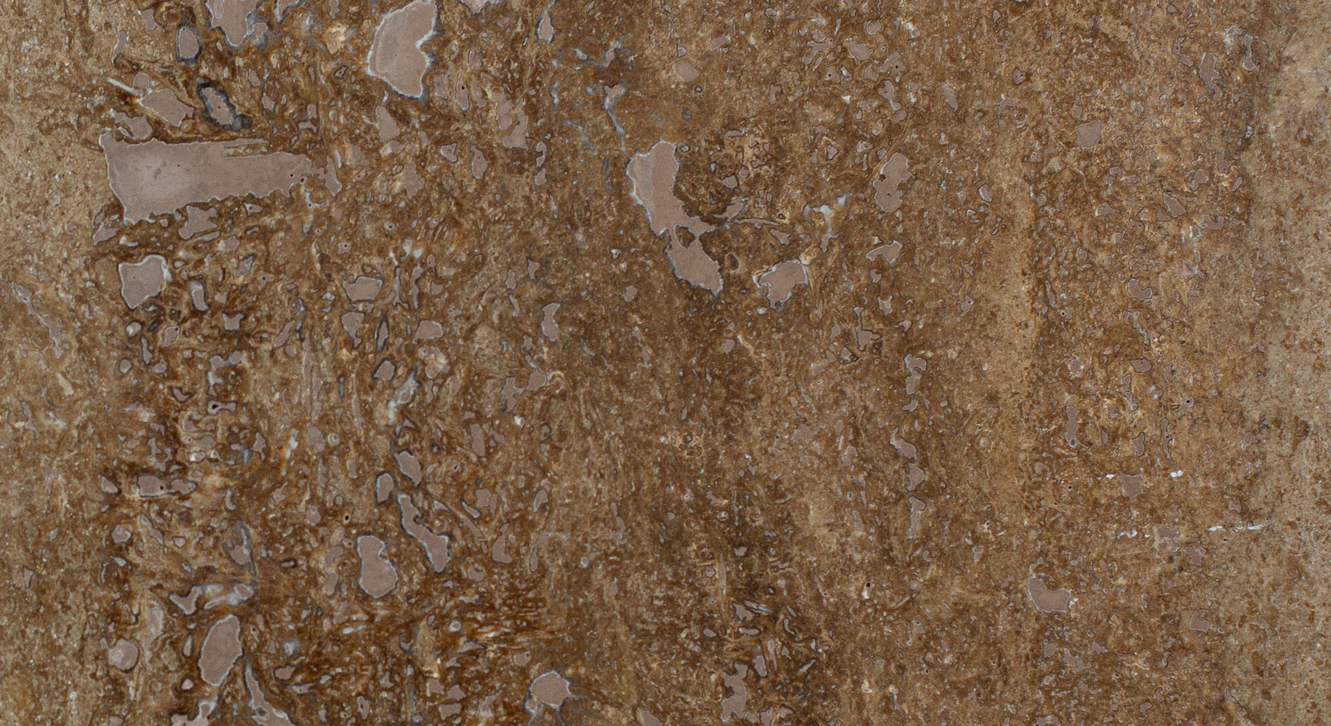 Noche Travertine Texture