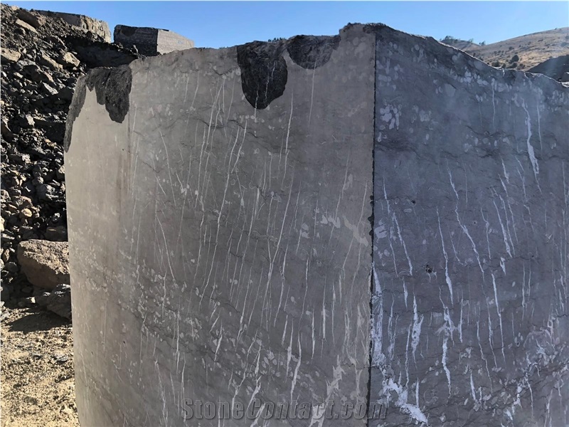 Toros Black Marble Gallery